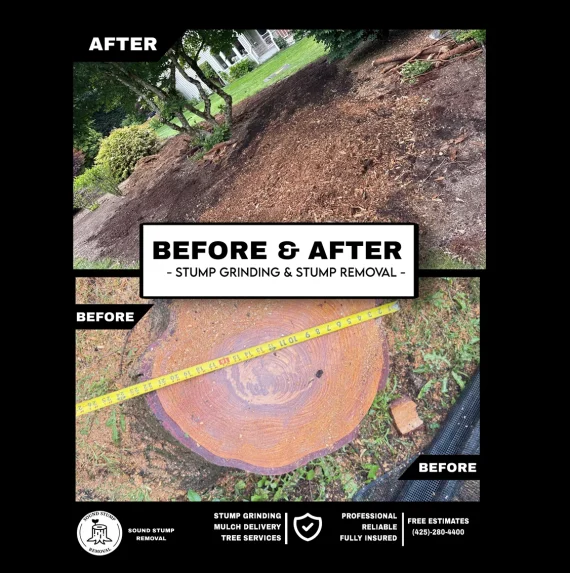 Before&After10