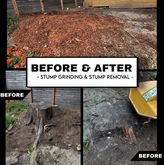 Before&After14