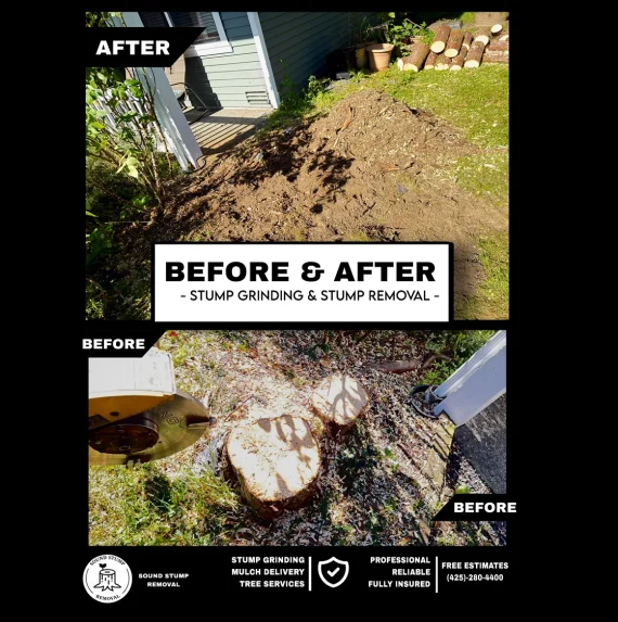 Before&After19