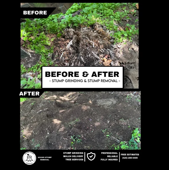 Before&After21