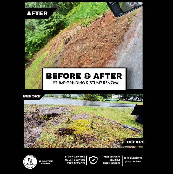 Before&After5