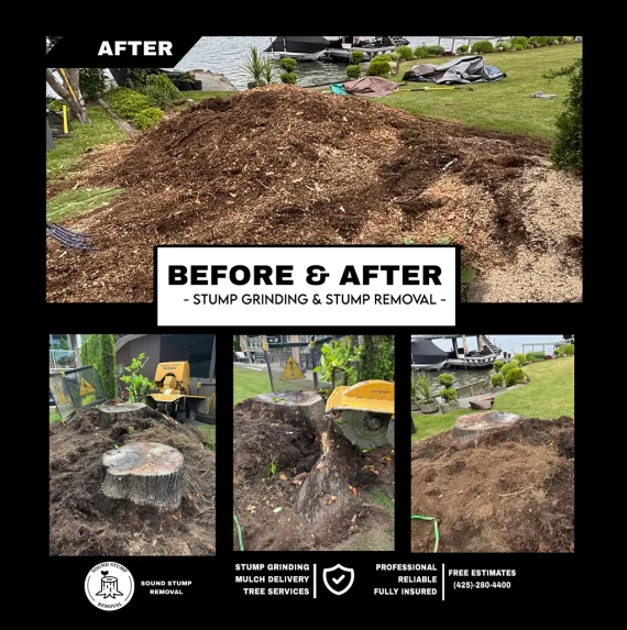 Before&After6