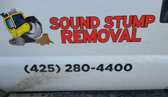 Sound Stump Removal 2