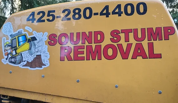 Sound Stump Removal 8